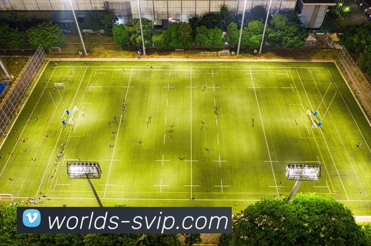 公海官网服务体系